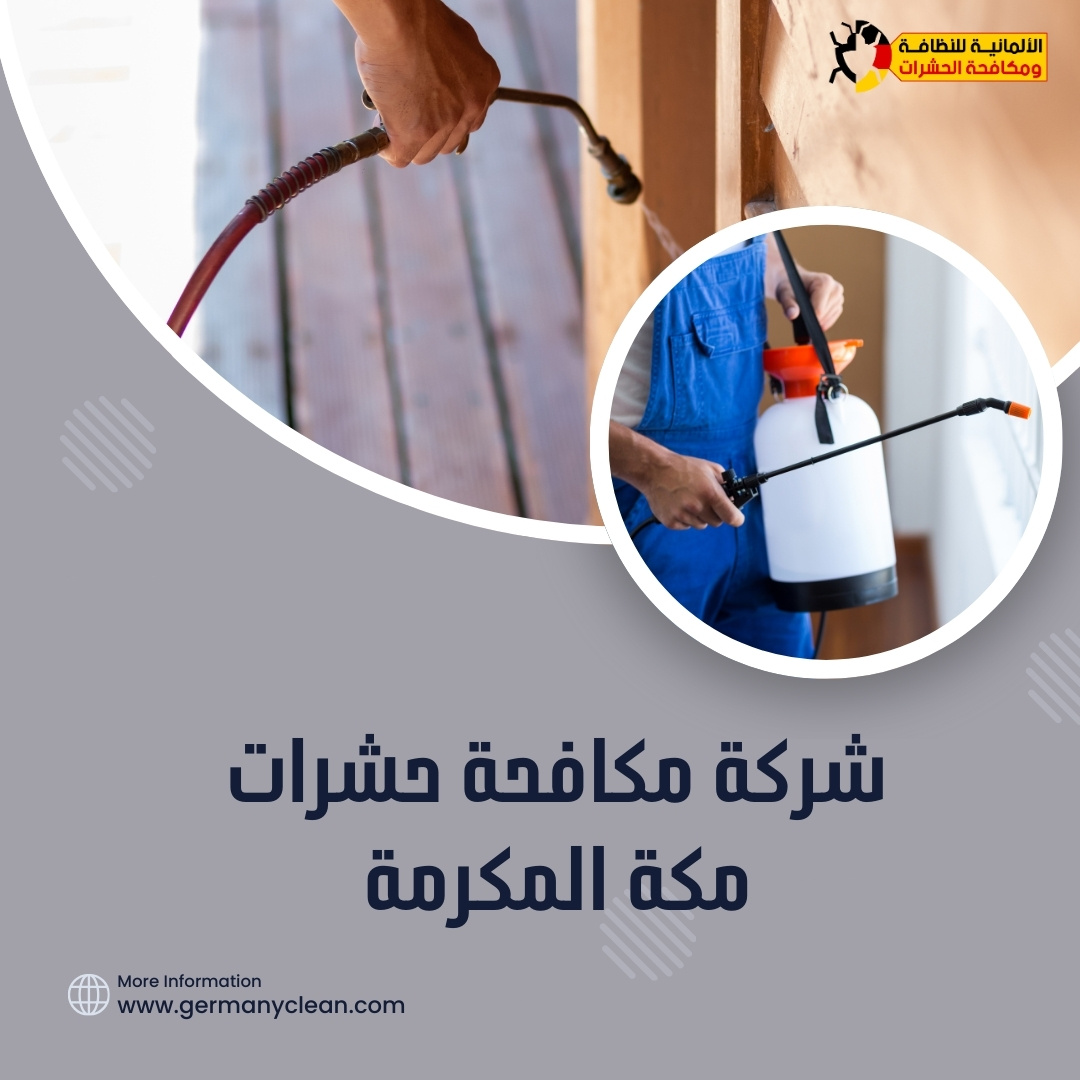 شركة مكافحة حشرات مكة